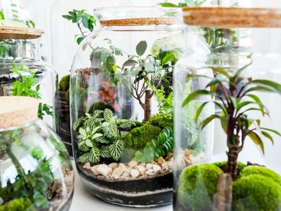 This means the application of restorative basic methods like planting a trillion trees globally