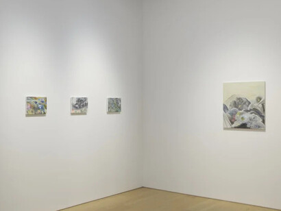 Yuko Someya, Soil and stars, exhibition view. Courtesy of Tomio Koyama Gallery