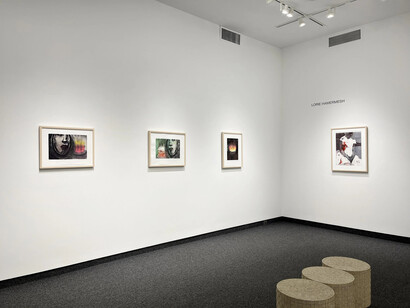 Lorie Hamermesh, Into the fire, exhibition view. Courtesy of Gallery Naga