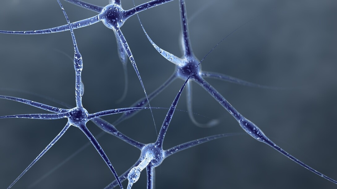 Neuroni al microscopio