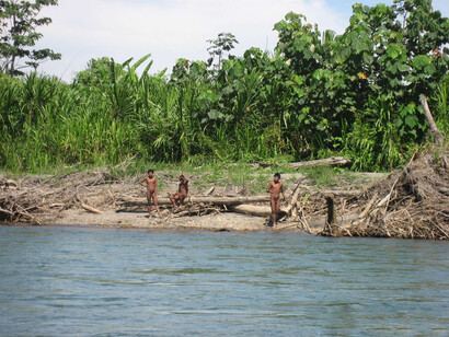Muchos culpan a la tala ilegal en el Parque Nacional de Manu de desplazar a los indígenas de sus hogares. Fotografia © G. Gali/[Indígenas aislados](http://www.indigenasaislados.org)/[Survival International](http://www.survival.es)  