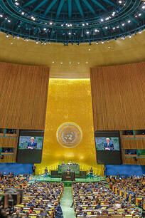 Abgesehen von den Ansprachen der Vertreter der Großmächte, die die Aufmerksamkeit der Weltpresse auf sich zogen, war der große Saal der Vereinten Nationen fast immer halb leer und bot einen traurigen Anblick