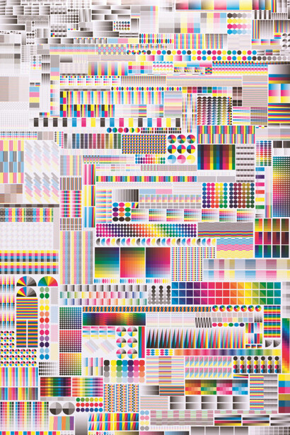 Poster, Specimen, 2008; Designed by Fanette Mellier (French, b. 1977); France; offset lithograph on paper; 175 x 118.6 cm (5 ft. 8 7/8 in. x 46 11/16 in.); Gift of Fanette Mellier; 2013-18-1 Photo: Matt Flynn © Smithsonian Institution