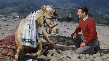 Mr. Ed and the horse Wilbur