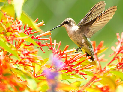 Por que mesmo com tantas possibilidades não conseguimos sentir felicidade numa segunda pela manhã?