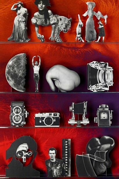 Matt Lipps, Camera, C-print, 81.25 x 50 inches, 2013