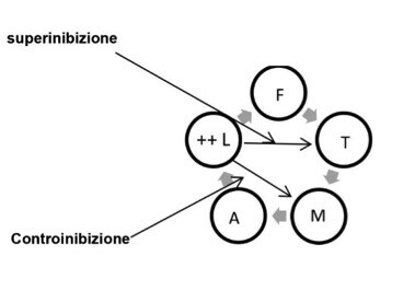 Superinibizione e Controinibizione