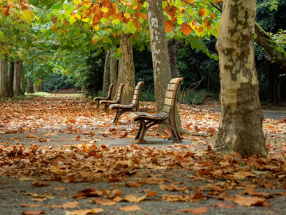 Antes las madres paseaban a sus bebés en sus carriolas. Ahora no
