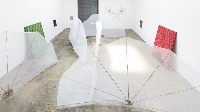 View of Jarbas Lopes' exhibition "Elastica"