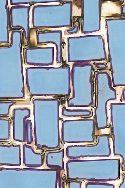 Alex Hedison, ABI_022, 2022, epson metallic gloss paper. Courtesy of the artist and Von Lintel Gallery