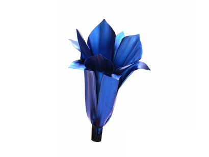 David Bielander. Courtesy of Gallery S O