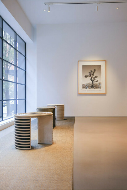 Marcelo and Fernando Bengoechea, Woven together. Reflections, exhibition view. Courtesy of Cristina Grajales Gallery