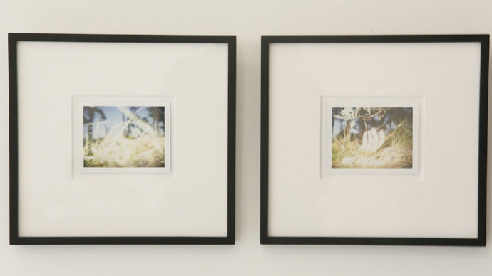 Polaroids: The Disappearing. Courtesy of Nathalie Karg Gallery