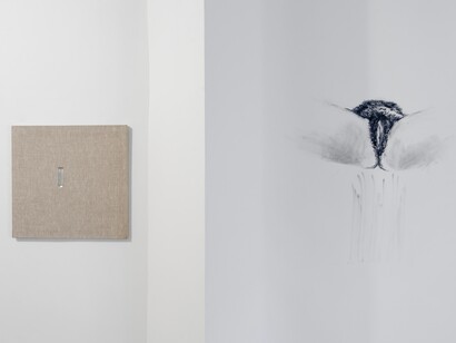 Jiri David, Redundant Earth from the Grave, Exhibition view 