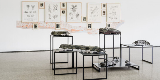 Natural Histories, Exhibition view. Courtesy of Mumok 