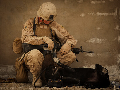 Los planes actuales de integración de la humanidad se basan en el poder económico y en el poder de las armas de destrucción