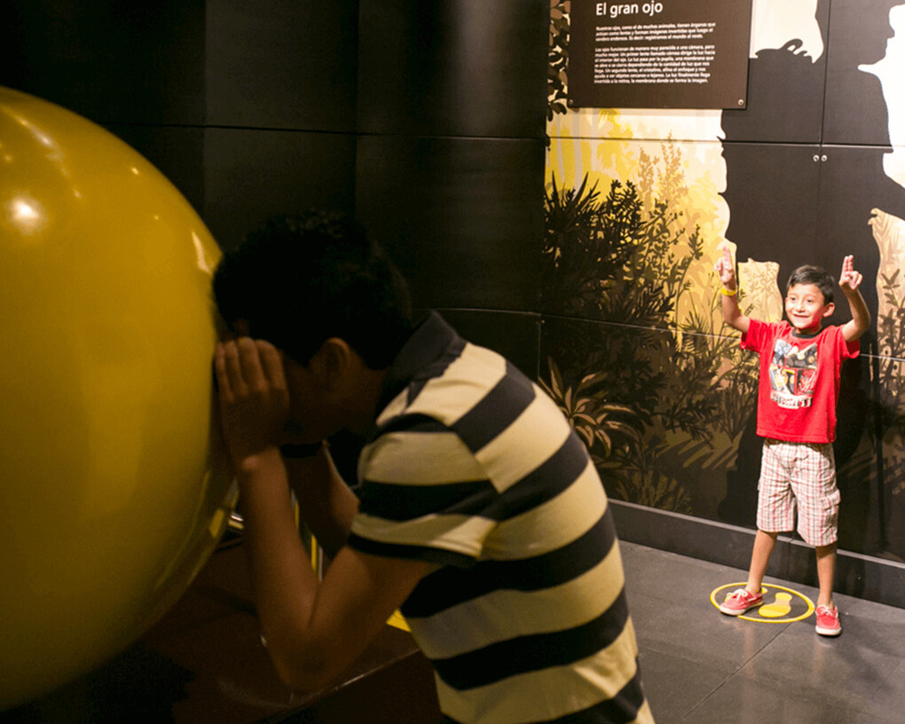 Física Viva. Courtesy of Parque Explora