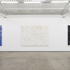 Vista del montaje Entropías, 2018. Foto: Rodrigo Viñas. Cortesía del artista y Proyectos Monclova