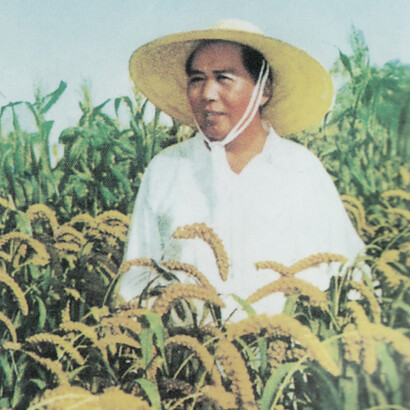 Retrato de Mao Tse Tung trabajando en un campo de arroz (detalle)