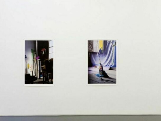 David Gilbert, Coming of Age, Installation at Klaus von Nichtssagend Gallery