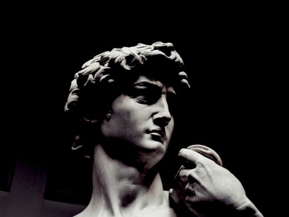 Do Homo sapiens ao cyborg