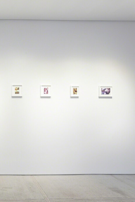 Pareidolia. Courtesy of Totah 