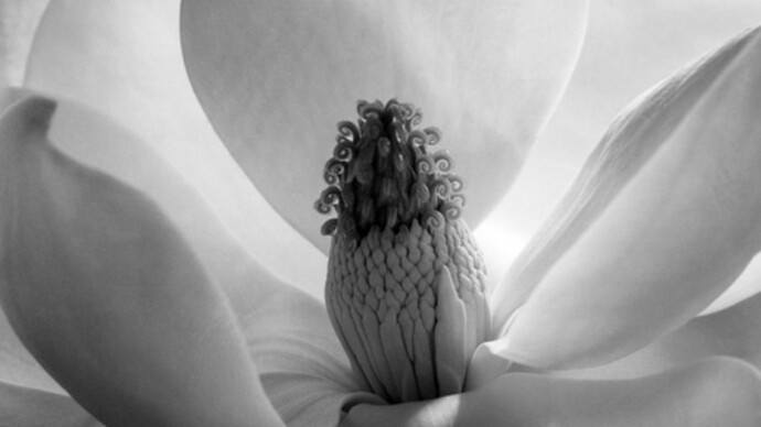 The 25th Anniversary Show. Courtesy of Scott Nichols Gallery