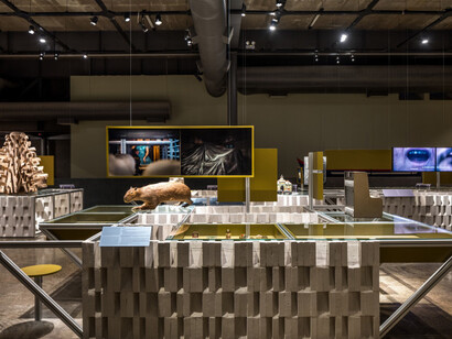 Objeto sujeito, vista da exposição. Cortesia do Museu Paranaense