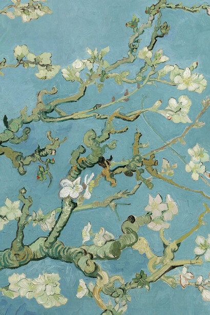 Vincent van Gogh, Almendro en flor (1890, detalle). Observando al almendro aprendí a atreverme, a parecer incluso enajenada, vistiéndome con pétalos, sin miedo, en un camino huraño donde otros se conforman tan sólo con sus ramas