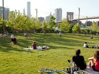 A park among skyscrapers