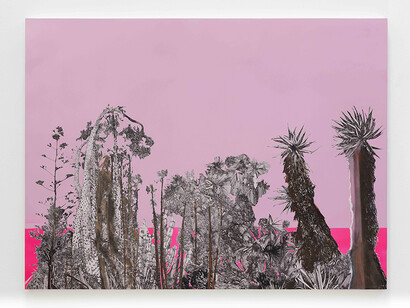 Cactus Trash and Treasure, 2016, ink and oil on wood panel, 91,44 x 121,92 x 05 cm (36 x 48 x 2 in.). Courtesy of galerie Art : Concept