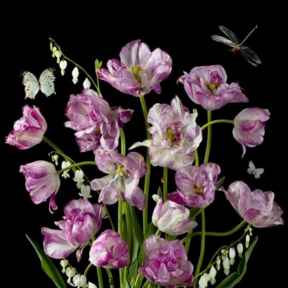 Paulette Tavormina, Purple tulips, 2024. Courtesy of Winston Wächter Fine Art