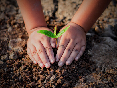 The global threat is of unfolding crop failure in one or more of the planet's primary rice or grain growing areas leading to famine on massive scale and social and political collapse