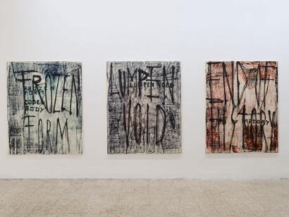 Fabian Herkenhoener, Lumpen void, exhibition view. Courtesy of Contemporary Cluster. Photo by Roberto Apa