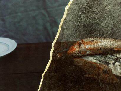 Mémoires. Courtesy of Galerie Thierry Bigaignon