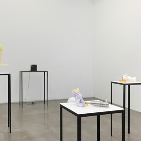 SportCult. Courtesy of Team (gallery, inc.)