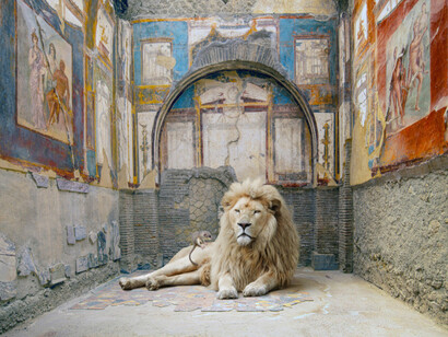 Karen Knorr, Lion's rescue, The college of the Augustales, Herculaneum, 2023, Courtesy of Sundaram Tagore Gallery