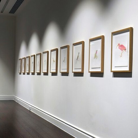 Myfanwy MacLeod. Courtesy of Contemporary Art Gallery