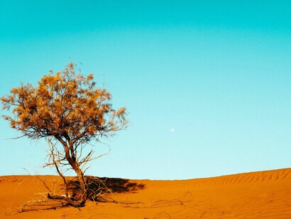 El cambio climático es una evidencia