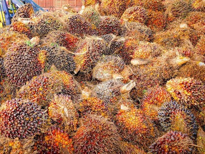 Uno de cada dos productos que se venden en el supermercado contienen aceite de palma