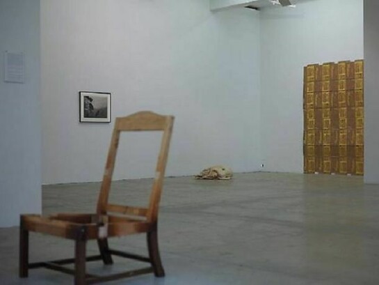 Instalation View