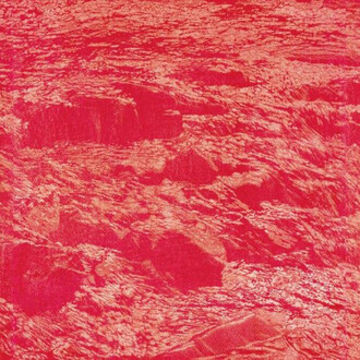 Franz Gertsch, Portraits and nature pieces II. Courtesy of Museum Franz Gertsch