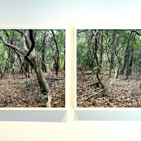 Hilary Tolan, In this Place, exhibition view. Courtesy the artist and Kingston Gallery