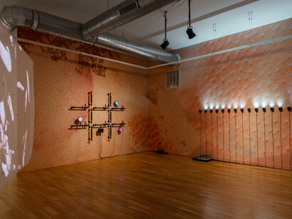 Tromarama, Auto ally, exhibition view. Courtesy of Document Gallery
