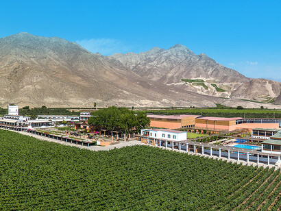 Hotel en medio de un viñedo en Ica, Perú
