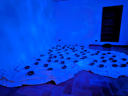 Nidi, work by Marco Esteban Cavallaro, Italy