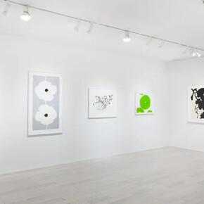 Donald Sultan, Flowers, exhibition view. Courtesy of Mary Ryan Gallery 
