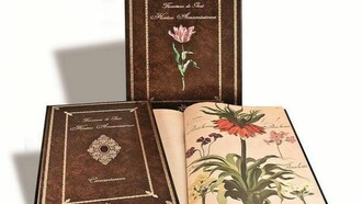 Versione facsimile del De Geest della Biblioteca nazionale di Roma