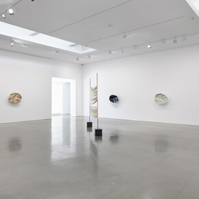 Liz Larner, Magnetic instinct, exhibition view. Courtesy of Regen Projects 