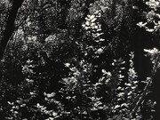 Peter Eastman, Yellow Light, oil on aluminium, 73x98 cm. Courtesy of Barnard Gallery